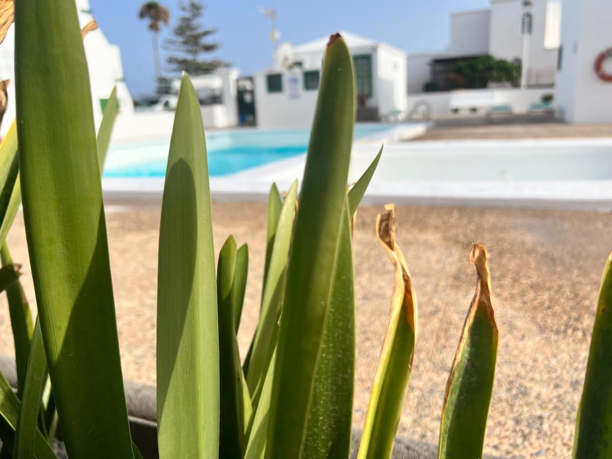 Las Mimosas Beach Sol Puerto del Carmen  Buitenkant foto
